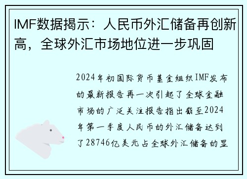 IMF数据揭示：人民币外汇储备再创新高，全球外汇市场地位进一步巩固