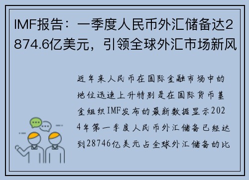 IMF报告：一季度人民币外汇储备达2874.6亿美元，引领全球外汇市场新风向