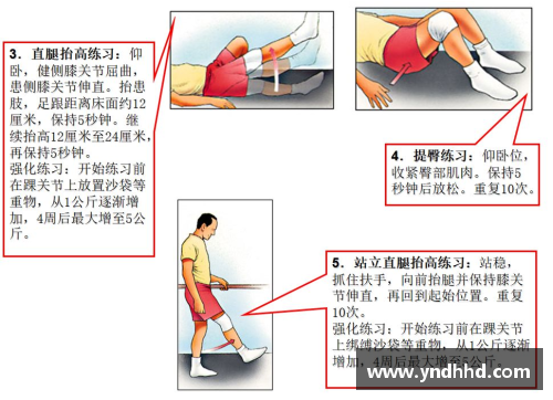 职业体育员如何应对膝盖磨损：管理、康复与长期表现
