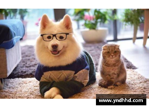 狗万官网力挽狂澜之际，双方亮剑令人拭目以待 - 副本