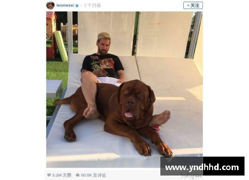 狗万官网黄球员：体坛风云，传奇之路