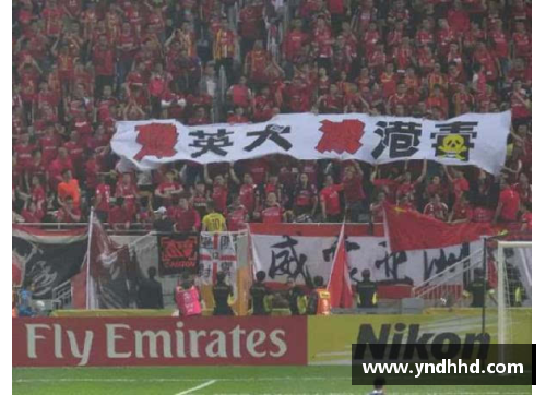 狗万官网球员行为失控：蹬踏球迷事件引发关注 - 副本