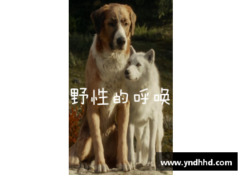 狗万官网46分+34分+38分！实力下滑明显？不是超巨？大家都被表象蒙骗 - 副本