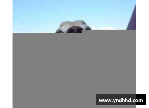 狗万官网破壁足球赛吸引千万观众，技艺精湛令人叹为观止 - 副本