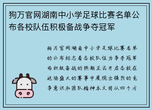 狗万官网湖南中小学足球比赛名单公布各校队伍积极备战争夺冠军